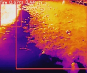 Forest Fire Detection